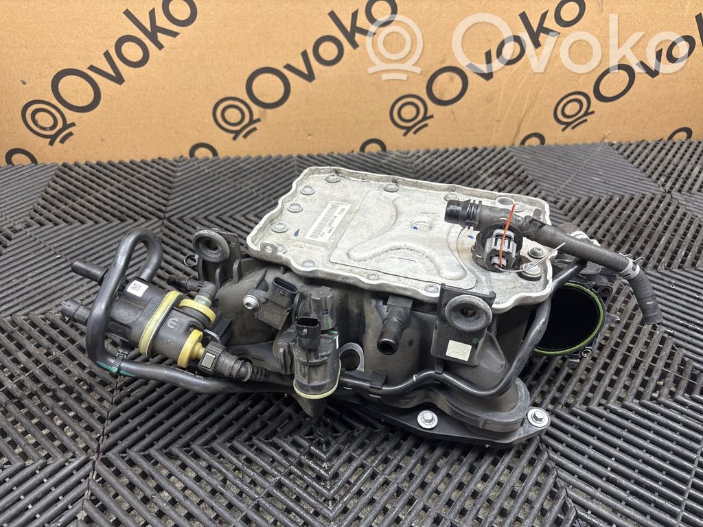 Alfa Romeo Giulia Kolektor ssący