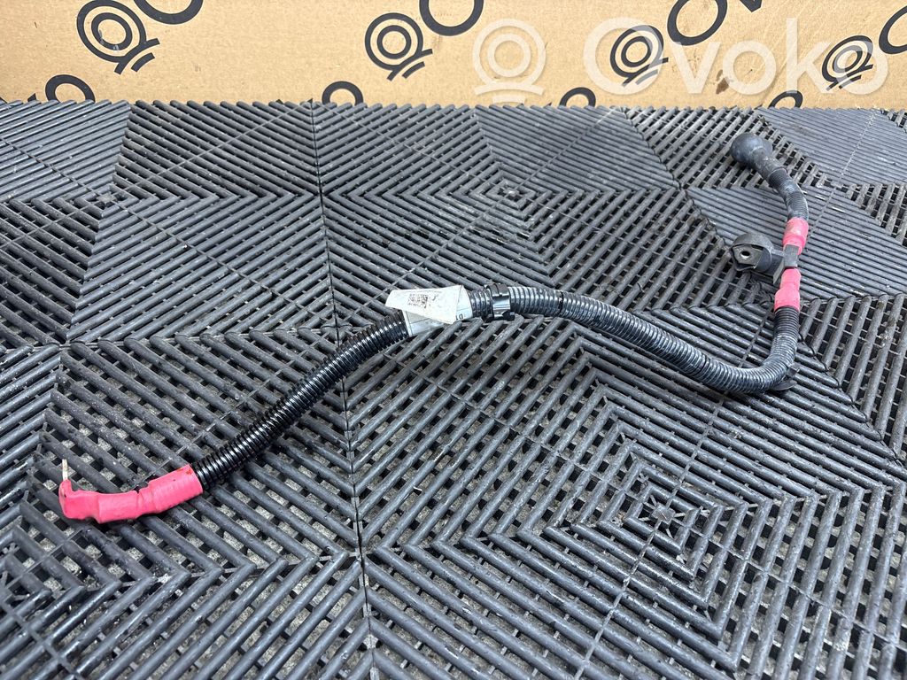 Cables (motor de arranque)   30092016,50546502