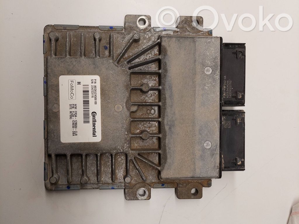 Ford F150 Engine control unit/module 