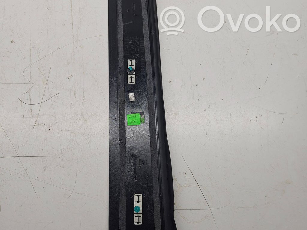 Chrysler Pacifica Sliding door trim 