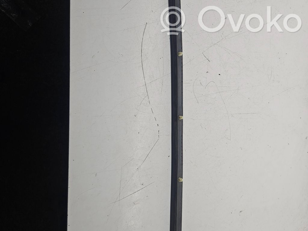 Dodge Charger Rubber seal front door (on door) 