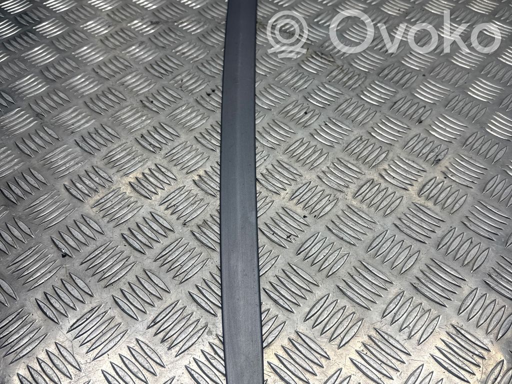 BMW 3 E92 E93 Dachzierleiste 
