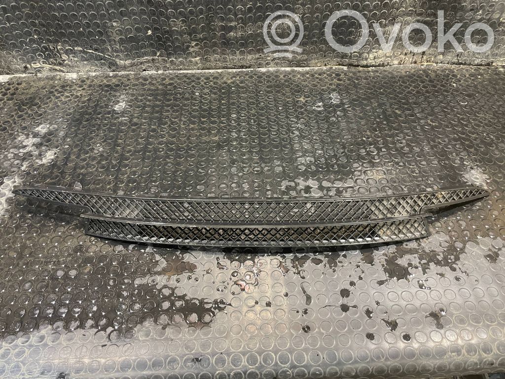 BMW 1 E81 E87 Front bumper lower grill 